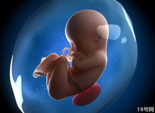 胎儿发育不良该怎么办？