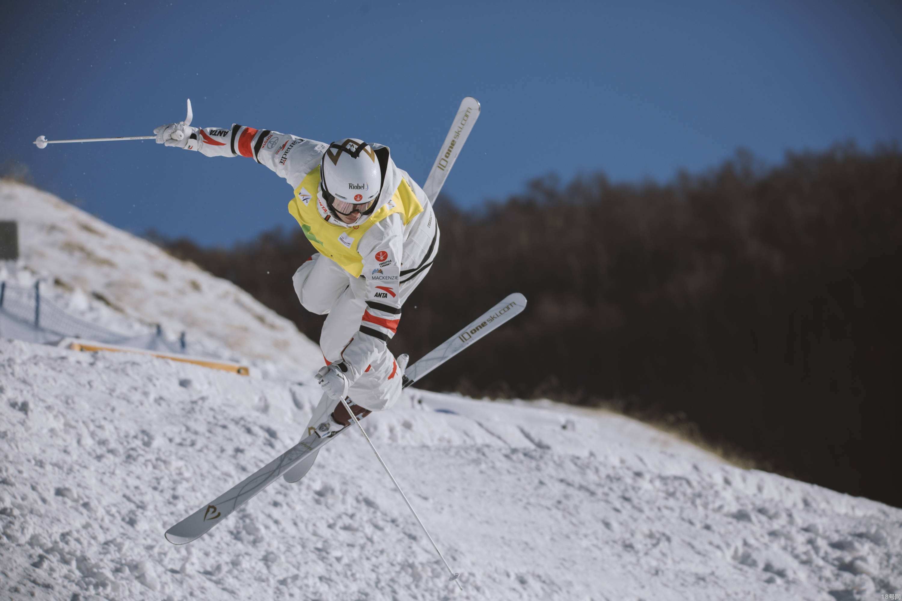 自由式滑雪属于单板还是双板？