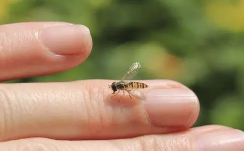 夏季怎样预防蚊虫叮咬？