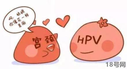 hvp是什么病毒是