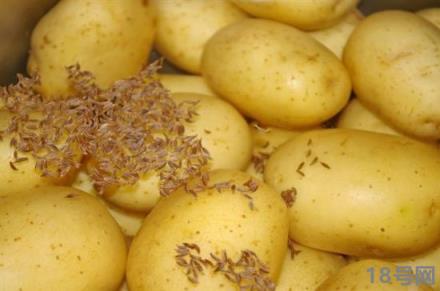 发芽的土豆把芽去掉能吃吗