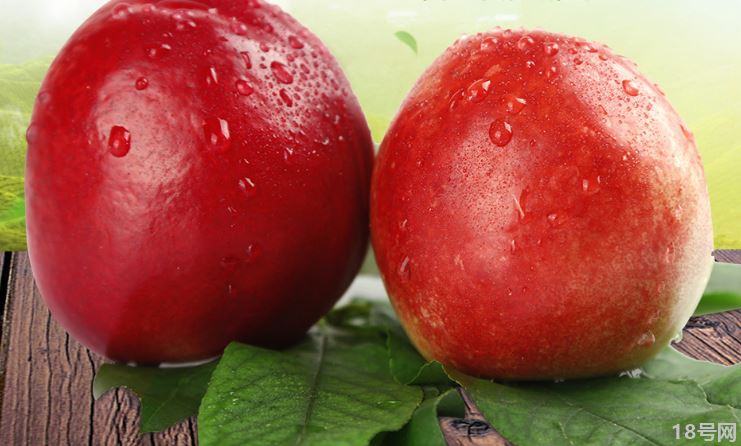 油桃和普通桃子的区别是什么