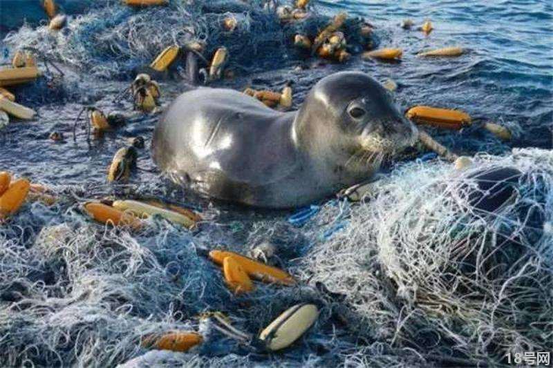 如何有效预防海洋垃圾，做好这几点很重要