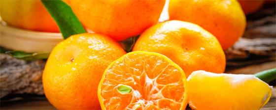 吃橘子的注意事项 吃橘子的注意事项有哪些