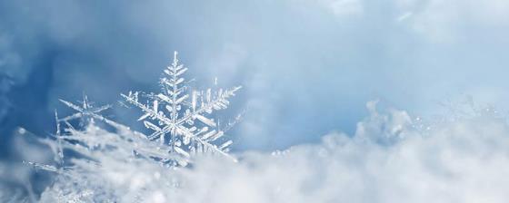 描写冬天景色的优美句子 描写冬天景色的优美句子有哪些