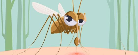 怎么让蚊子不咬自己 蚊子爱咬什么人