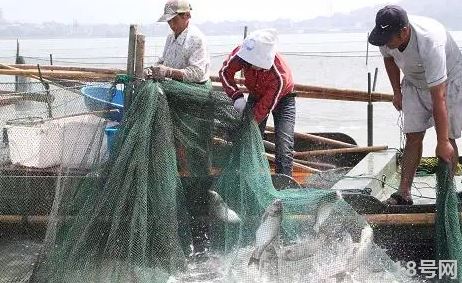 国家有没有规定禁止钓鱼20222