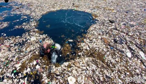 海洋上的垃圾害死了多少生物3