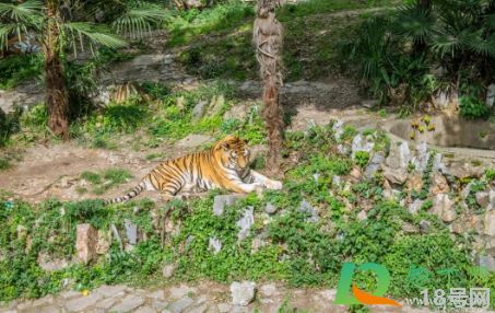武汉动物园2021年1月1日关闭是真的吗2