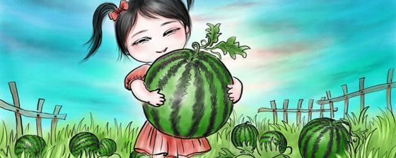 西瓜是什么茎 西瓜属于什么茎