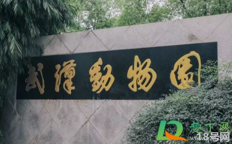 武汉动物园2021年1月1日关闭是真的吗3