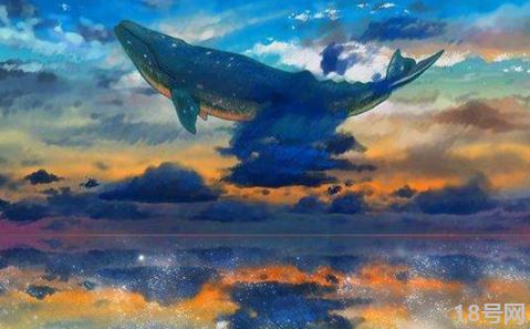 鲸落的寓意和象征有哪些（网名叫鲸落