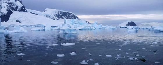 南极一月是什么季节 南极和北极的季节月份