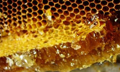 蜂胶作用与功效 蜂胶有哪些养生保健功效