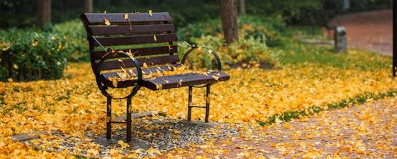 秋天的成语有哪些 关于秋天的成语