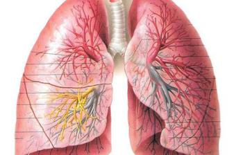 胸闷气短是什么原因 谨防这三类疾病