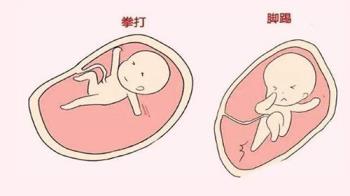 胎动什么意思 怀孕几个月有胎动