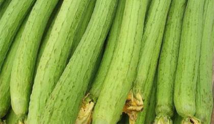 丝瓜的功效与作用 夏季吃丝瓜的好处
