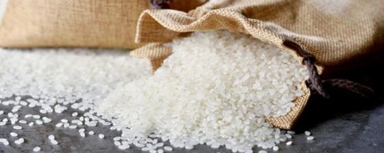 怎样去掉米里面的米虫 去掉米虫的方法