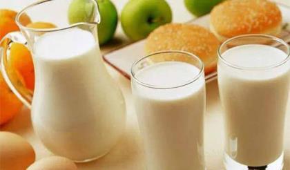 纯牛奶什么时候喝最好 什么人不能喝纯牛奶