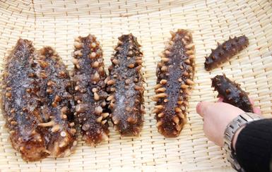 海参的营养价值 海参有哪些养生吃法