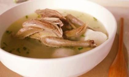 鸽子汤的功效与作用 喝鸽子汤有哪些好处
