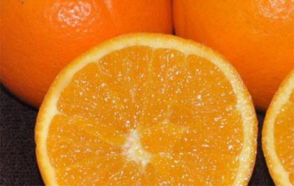 吃橙子的好处 秋冬吃橙子有什么养生作用