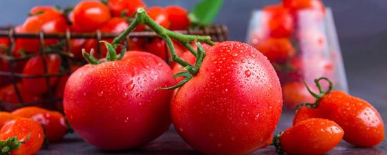 粉柿子和西红柿有哪些区别 粉柿子