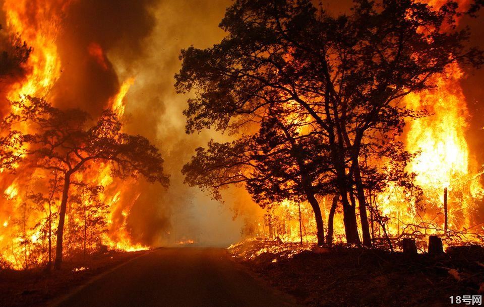 森林火灾的定义有哪些？