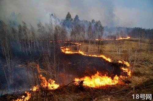 产生森林火灾的条件有哪些？