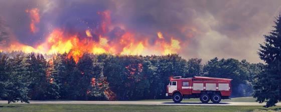 森林防火条例是哪一年发布的 森林防火条例是哪一年哪月发布的