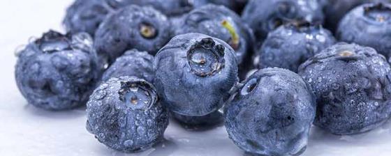蓝莓变质怎么辨别 蓝莓变质如何辨别