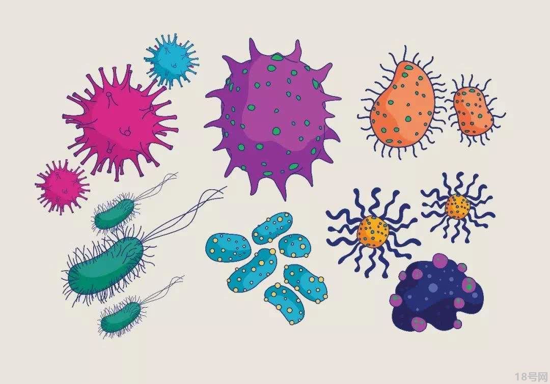 人体细菌具体有哪些