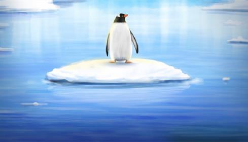 企鹅在南极还是北极 北极熊生活在南极还是北极