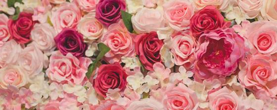 玫瑰花数量的寓意和花语 不同数量玫瑰花的寓意