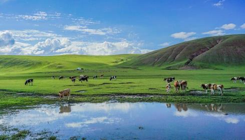 内蒙古旅游景点大全 内蒙古旅游景点有哪些