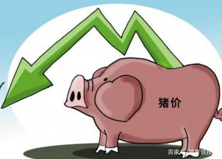猪肉价格回落连续下跌原因是什么