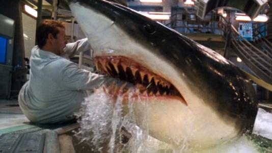最可怕的鲨鱼是什么鲨鱼