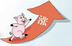 国家发改委回应猪价过快上涨：将严惩