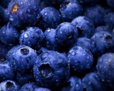 为什么蓝色的水果很少 常见的蓝色