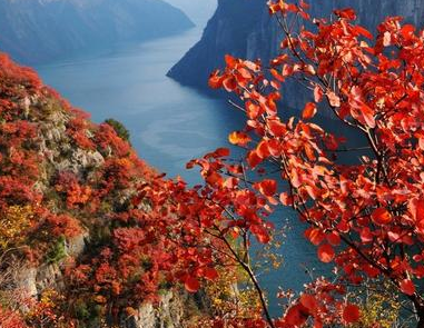 各地红叶相继进入最佳观赏期，是秋季最美的画