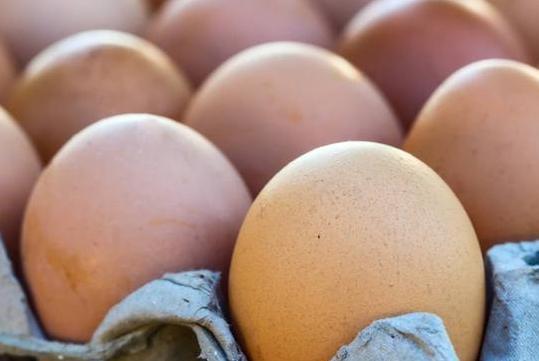 人造鸡蛋”能不能吃 质量肯定是不一样