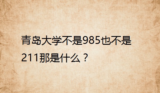 青岛大学不是985也不是211那是什么？