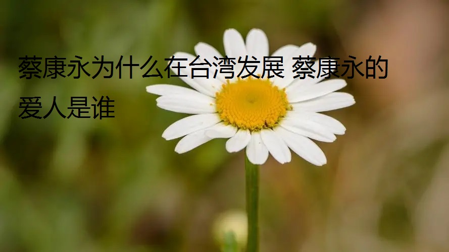 蔡康永为什么在台湾发展 蔡康永的爱人是谁