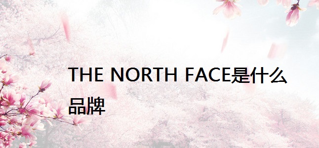 THE NORTH FACE是什么品牌