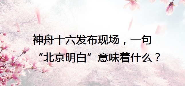 神舟十六发布现场，一句“北京明白”意味着什么？